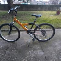 bicicletta raggio 24