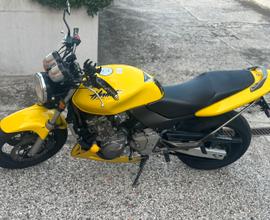 Honda hornet 2001