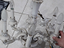 Immagine 4