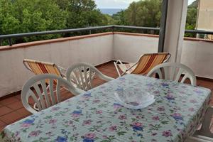 Palinuro estate 2026