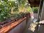 Immagine 28