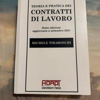 Teoria e pratica dei contratti di lavoro (6ª ed.)