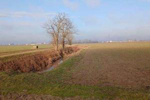 RGE 381/2023 Tribunale Verona - Lotto 7)