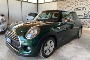 Mini 1.5 One D