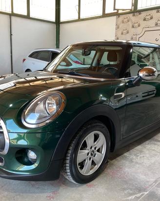 Mini 1.5 One D