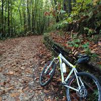 mtb whistle 26 shimano xt reba slx fulcrum