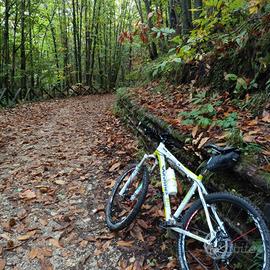 mtb whistle 26 shimano xt reba slx fulcrum