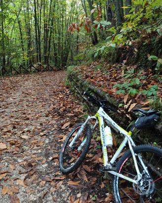 mtb whistle 26 shimano xt reba slx fulcrum