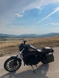 Harley Davidson 883R