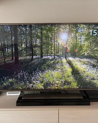 Smart TV LG 55”