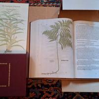 ERBARIO: DE HISTORIA STIRPIUM di LEONHART FUCHS