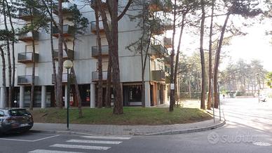 Trilocale Lignano Pineta 200 mt dal mare