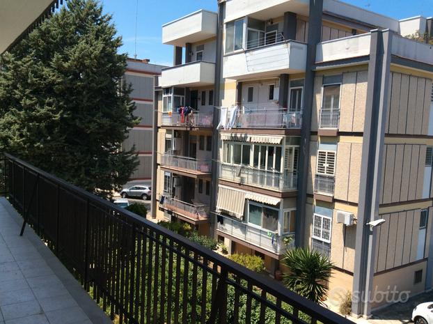 Posto letto in stanza doppia zona Campus