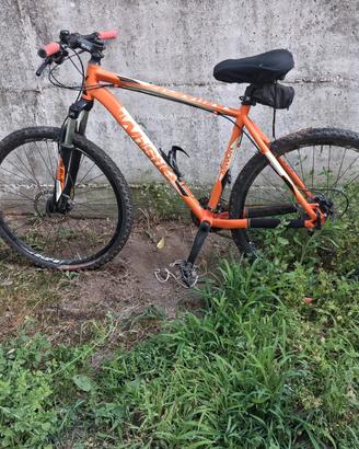 biciclette 