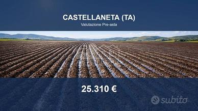 Immobile in asta di 47814 m² a Castellaneta