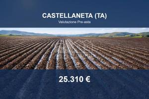 Immobile in asta di 47814 m² a Castellaneta