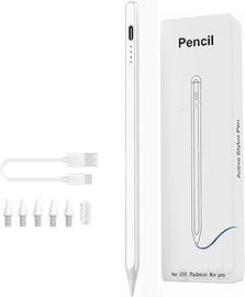 Penna Capacitiva per iPad (2018-2024)
