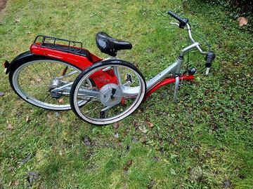 Bicicletta elettrica da rivedere