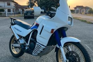 Honda Transalp 600 1^serie