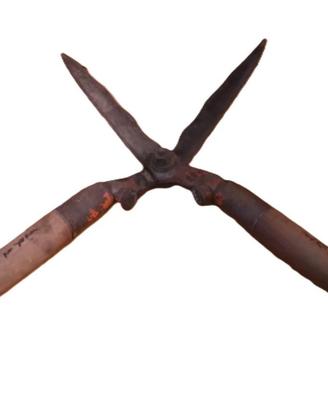 Antica Cesoia manuale per siepi altezza cm 54