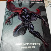 SuperEroi  Pantera Nera
