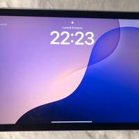 Ipad 10 generazione 256gb argento PARI AL NUOVO