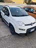fiat-panda-1-0-firefly-s-s-hybrid-city-life