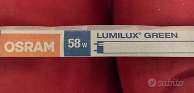 Tubo fluorescente 58W / 66  luce  VERDE Osram