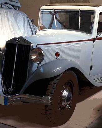 Lancia belna augusta