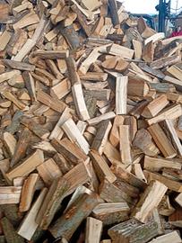 legna da ardere secca 