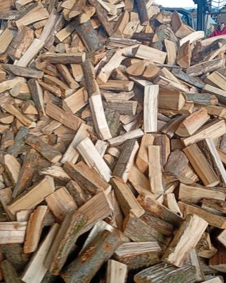 legna da ardere secca 