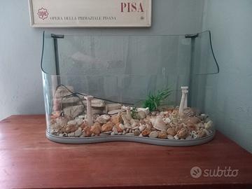 aquario per tartarughe