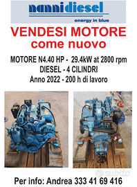 Motore marino entrobordo 40hp Nanni