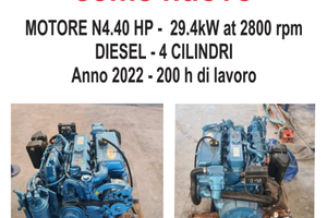 Motore marino entrobordo 40hp Nanni