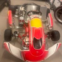 Go kart birel 2023 motore vortez
