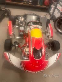 Go kart birel 2023 motore vortez