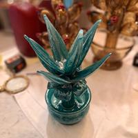  Pianta grassa  in vetro pulegoso  Napoleone M. 