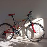 Bicicletta ragazzo/adulto con ammortizzatoro ruote