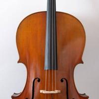 violoncello modello Guarneri