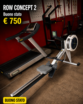 Vogatore concept2 RowErg professionale