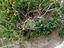 Immagine 23