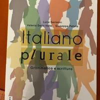 Italiano Plurale - grammatica e scrittura