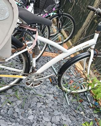 Bicicletta