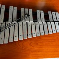 Strumento Musicale Glockenspiel Nuovo