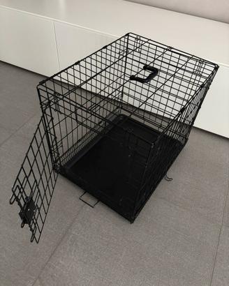 Kennel per cani
