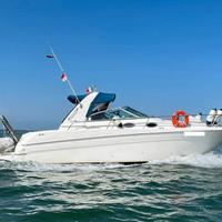 Sea Ray Sundancer 290