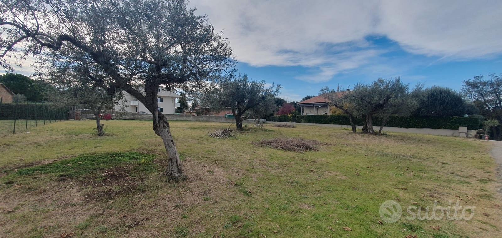 Treglio terreno edificabile di 1260 mq - Altro