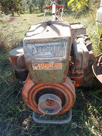 Trattorino agricolo diesel Pasquali 924