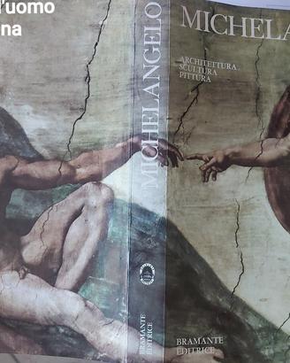 MICHELANGELO-architettura, scultura,pittura