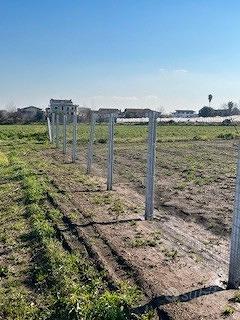 Terreno agricolo mq 1100 - Altro